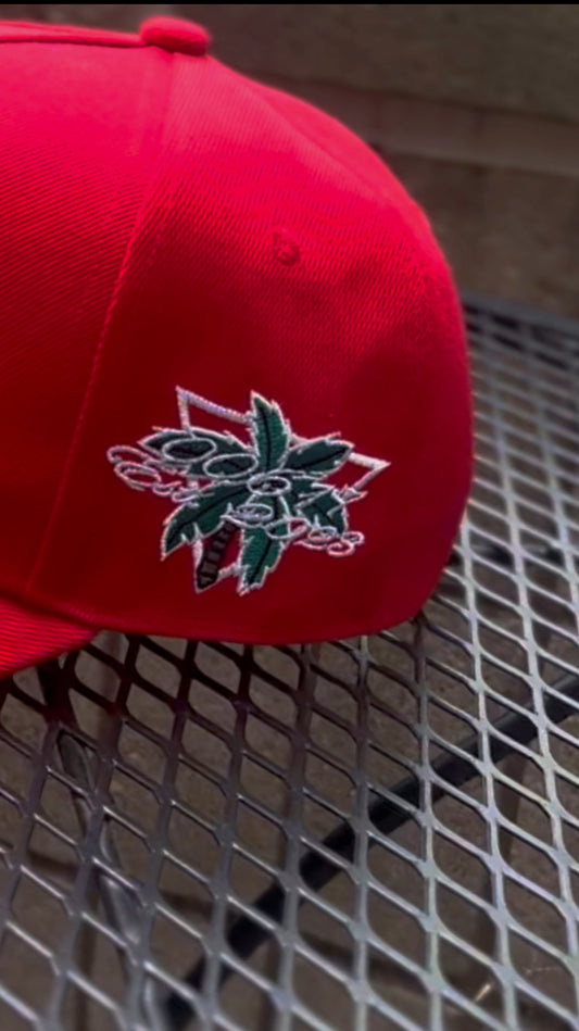 00617 Hija Del Mar Y El Sol🇵🇷-Roja